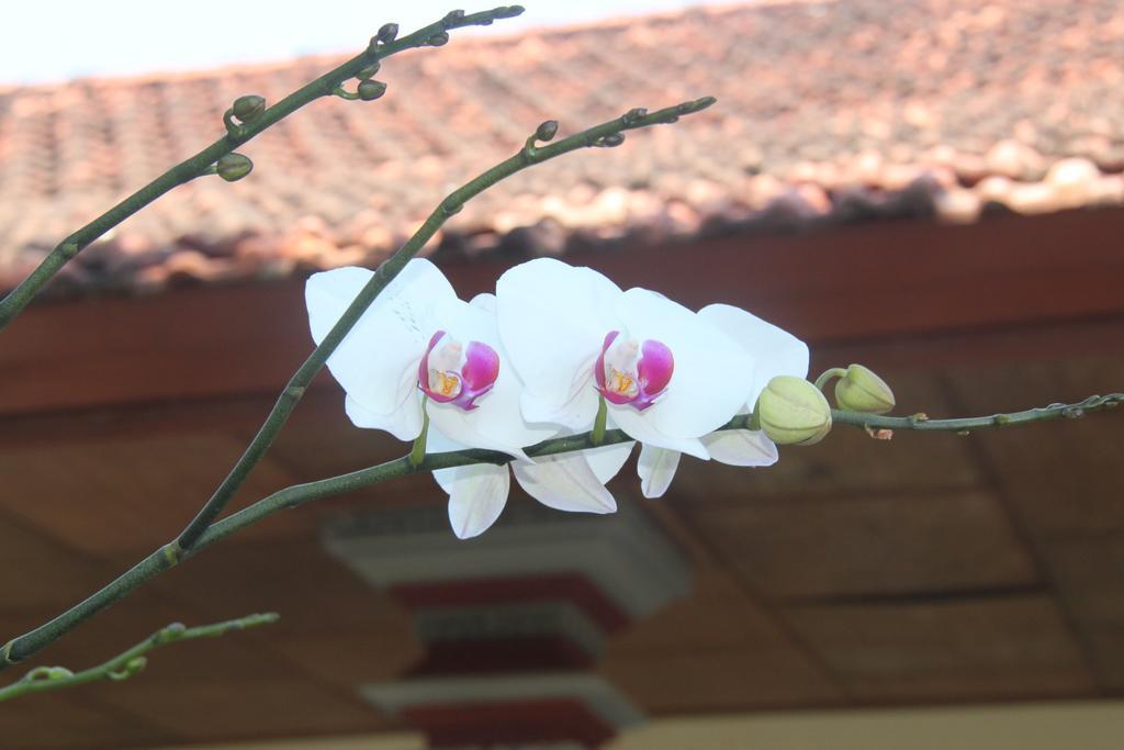 Pondok Hasan Nusa Dua  Exterior photo