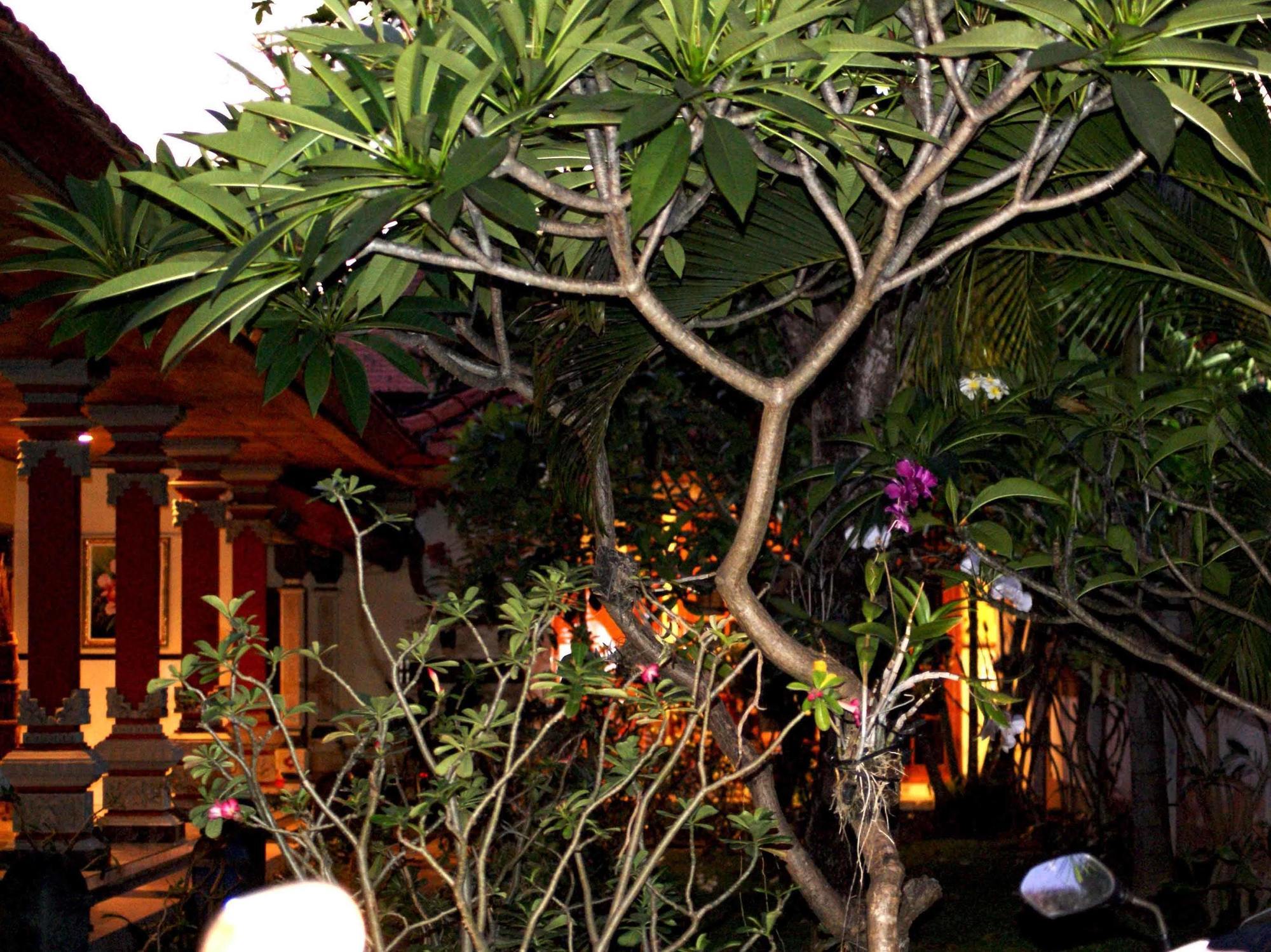 Pondok Hasan Nusa Dua  Exterior photo